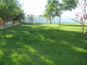 EduVera Jardins
